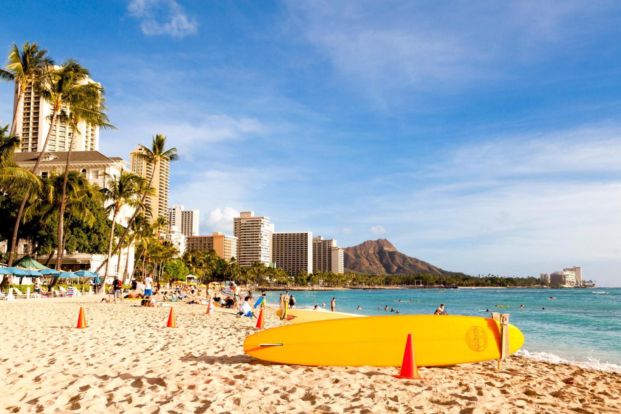 Renovated Ocean View Suite, Near Beach, Free Parking ホノルル エクステリア 写真
