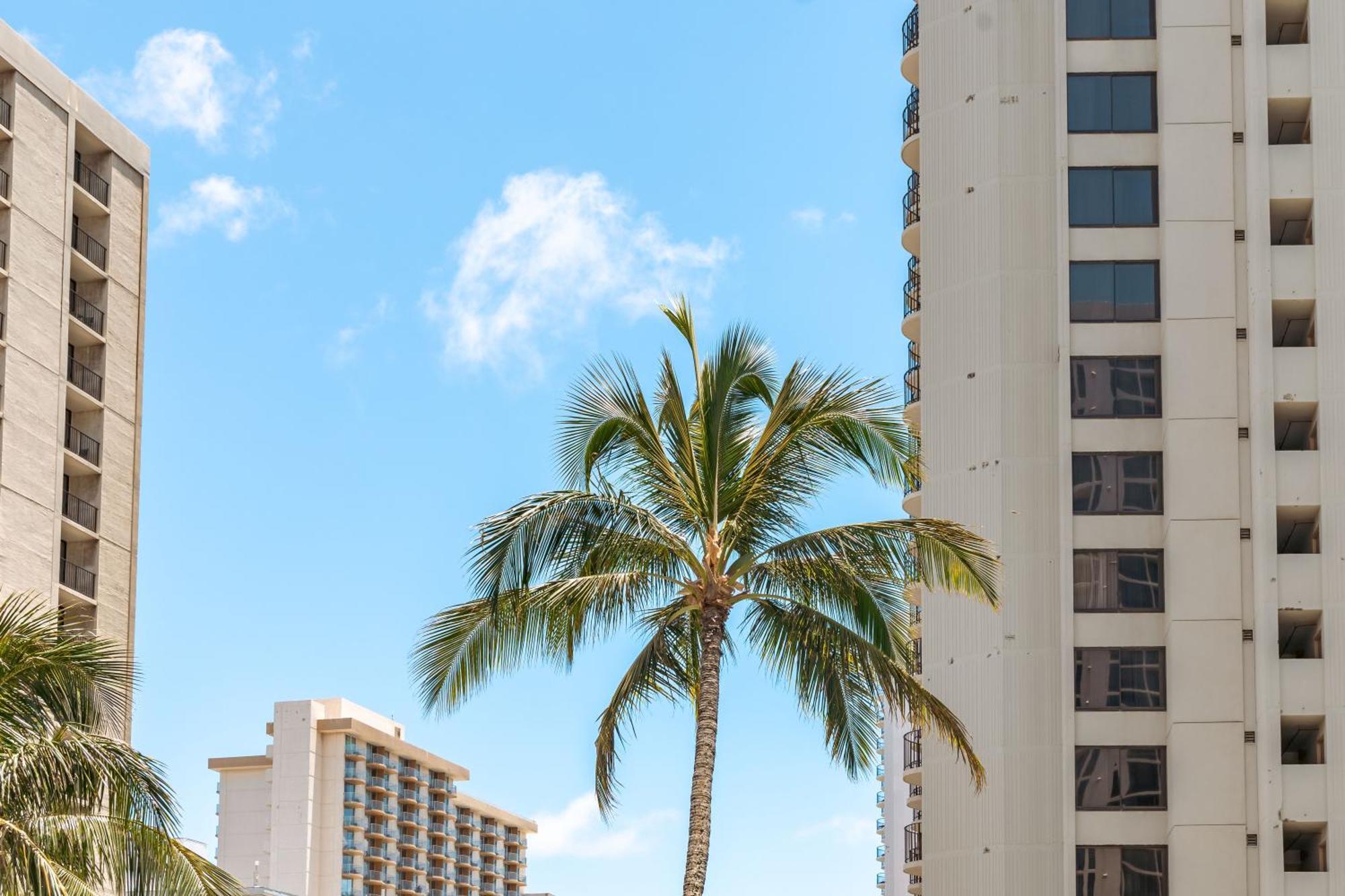 Renovated Ocean View Suite, Near Beach, Free Parking ホノルル エクステリア 写真