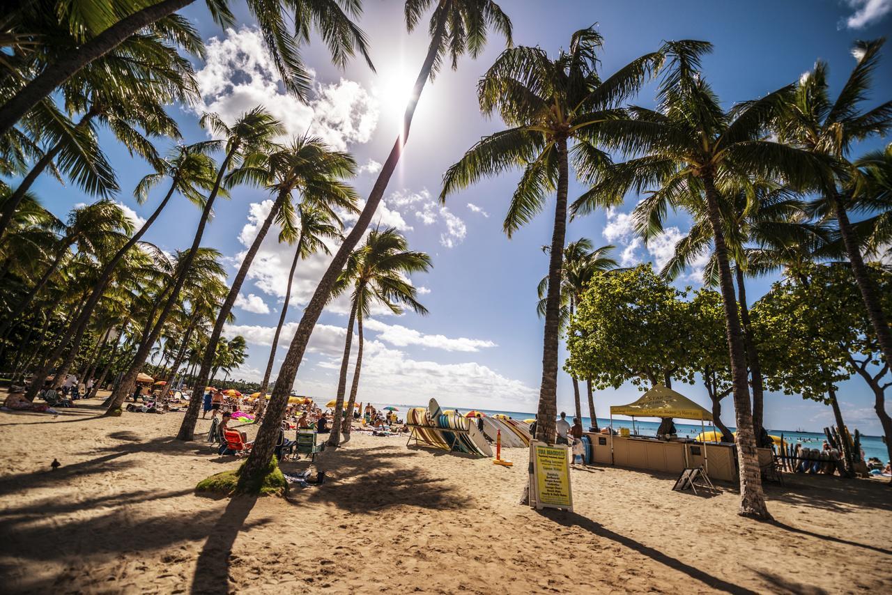 Renovated Ocean View Suite, Near Beach, Free Parking ホノルル エクステリア 写真