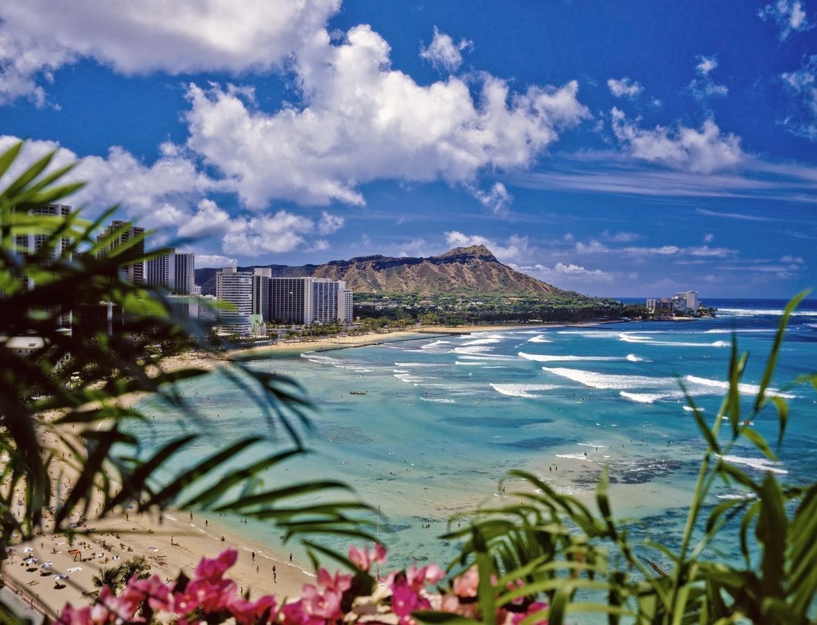 Renovated Ocean View Suite, Near Beach, Free Parking ホノルル エクステリア 写真